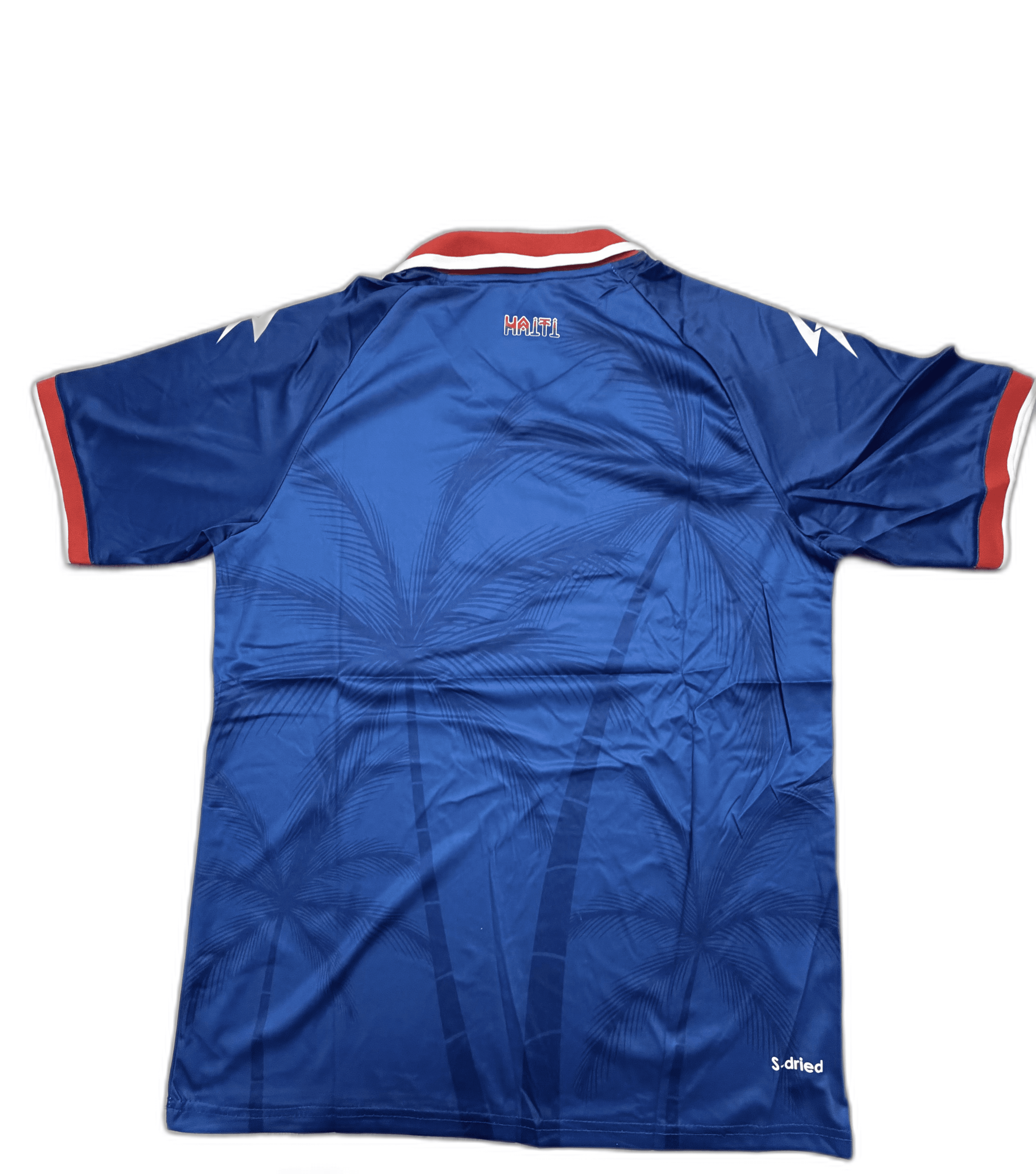Haiti World Cup 2026 Polo Jersey Blue - Back View